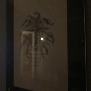 Meet your Posher, Joey